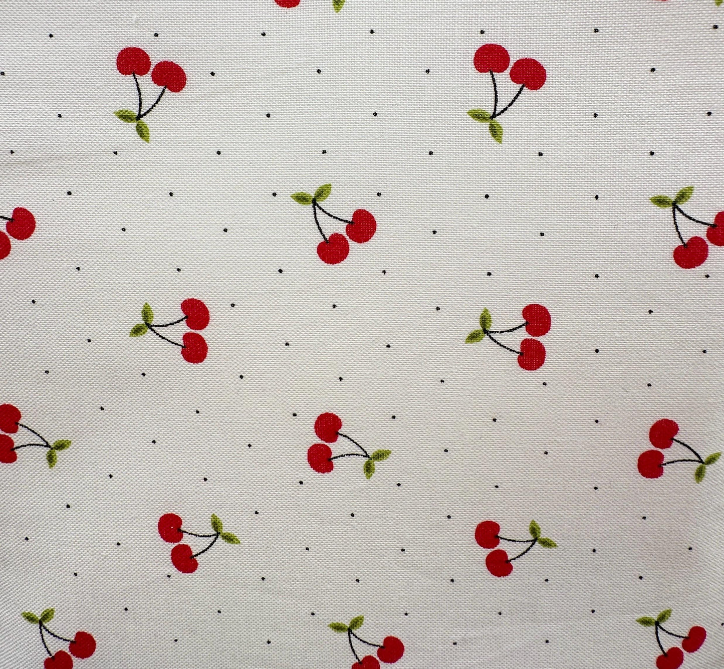 Kindle Sleeve - Red Cherry Coquette Foam Padded Case for Kindle Paperwhite, KOBO, or Gadgets - Perfect Book Lover Gift