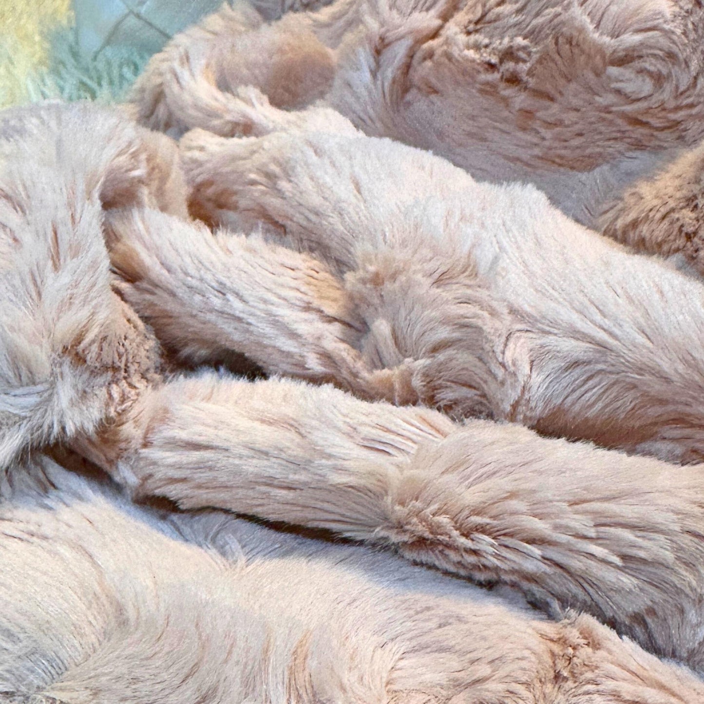 Blush Minky Baby Blanket Set for Soft and Cozy Snuggles, Luxury Minky Baby Wrap, Cuddly Newborn Blanket, High Quality Baby Shower Gift