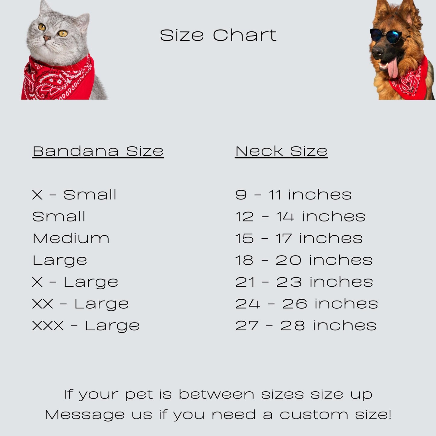 Personalized 4th of July Dog Bandana – Reversible, Easy Snap On Style – Custom Pet Name – Red White & Blue Patriotic Custom Pet Bandana