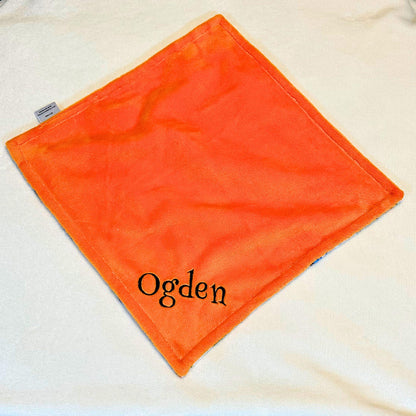Personalized Baby Blanket - Airplanes in the sky Minky Baby Blanket - You choose back, Custom Baby Blanket, Baby shower gift, newborn gift